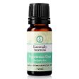 Essentially Australia Essential Oil 12ml - Peppermint Gum Online now