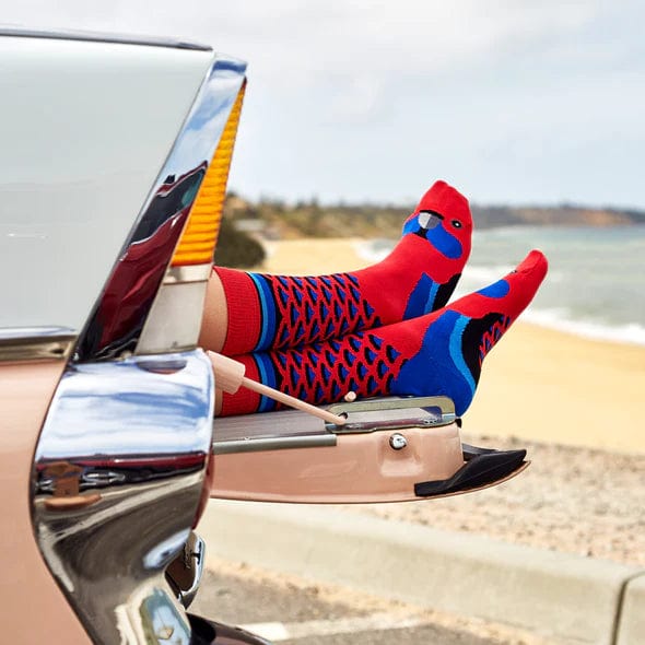 Wilson Payne Rosella Socks Discount