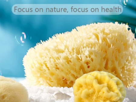 ZippyBloom Natural Greek Fina Silk Sea Sponge Hot on Sale