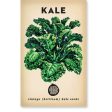 Little Veggie Patch Heirloom seeds - kale dwarf blue Sale