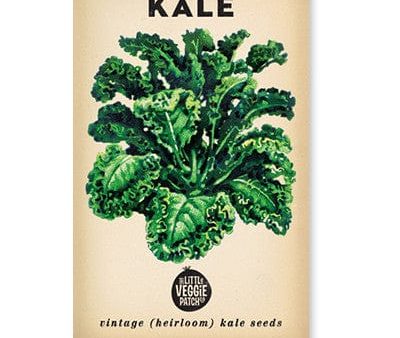 Little Veggie Patch Heirloom seeds - kale dwarf blue Sale