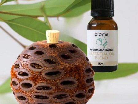 Australian Native Natural Room Scent Bundle Online Sale