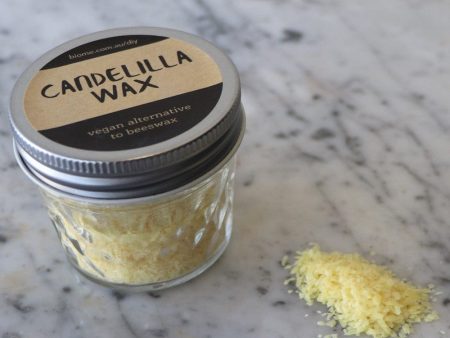 Candelilla Wax in Glass Jar 45g Supply