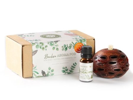 Banksia Aroma Pod Mini Gift Pack - Eucalyptus Fashion