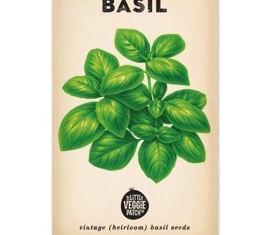 Little Veggie Patch Heirloom seeds - basil sweet genova Online