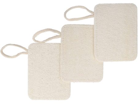 Biome Multipurpose Loofah Pads 3 Pack Online now