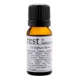 Rasasara Skinfood Oil Blend 10ml - Rest (Vata) Online