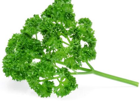 FRESH English Parsley, 1Kg Online Hot Sale