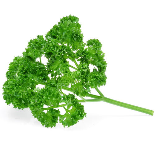 FRESH English Parsley, 1Kg Online Hot Sale