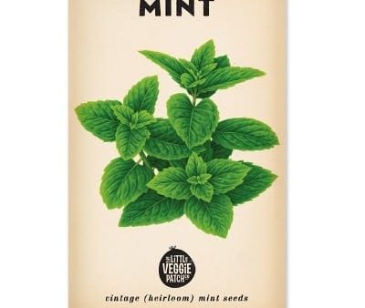 Little Veggie Patch Heirloom seeds - mint peppermint Supply