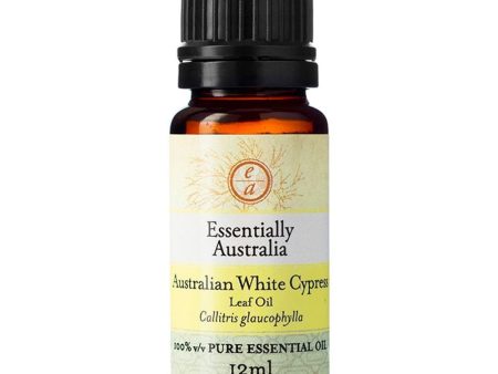 Essentially Australia Essential Oil 12ml - Australian White Cypress (Leaf Oil) Fashion