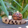 Banksia Aroma Pod & Essential Oil STAND For Sale