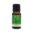 Eco Modern Essentials Essential Oil Basil 10ml Hot on Sale