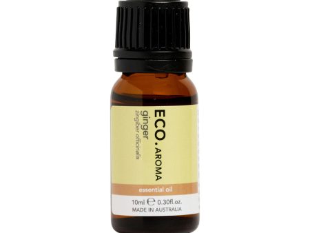 Eco Modern Essentials Essential Oil Ginger 10ml For Cheap