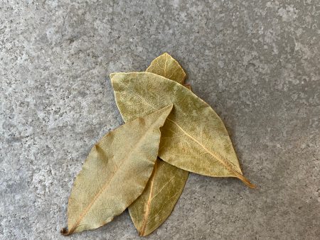 Bay Leaves For Sale