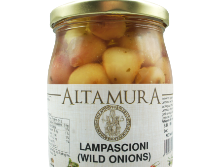 Altamura Lampascioni (Wild Onions) For Cheap