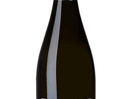 Felsina Berardenga, Spumante, Brut, Rosé Discount